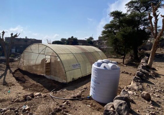 Kleine kas met uitstalraam, geïnstalleerd op een drooge, steenrijke grond met stenen en bomen op de achtergrond, voor duurzame landbouw of tuinprojecten in Afrika.