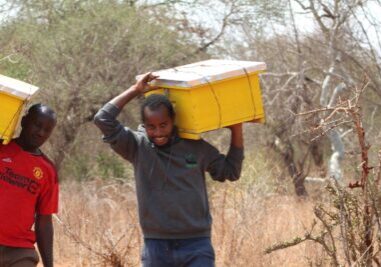 Mannen lopen met gele crates op hun hoofd door een droog landschap in Kenia.